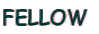 FELLOW 