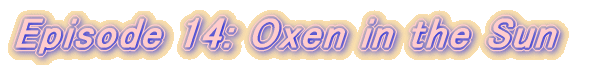 Episode 14: Oxen in the Sun