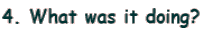 4. What was it doing?