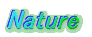 Nature