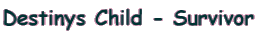 Destinys Child - Survivor
