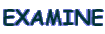 EXAMINE