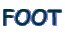 FOOT