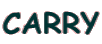 CARRY