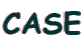 CASE
