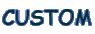CUSTOM