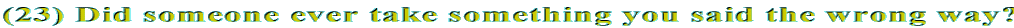 (23) Did someone ever take something you said the wrong way?