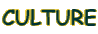 CULTURE