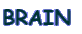 BRAIN 