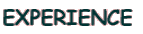 EXPERIENCE 
